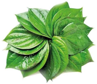 paan-betel-leaf