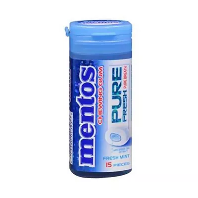 Mentos Pure Fresh Chewing Sugar Free Gum Fresh Mint
