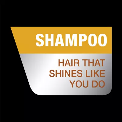 Sunsilk Shampoo Stunning Black Shine