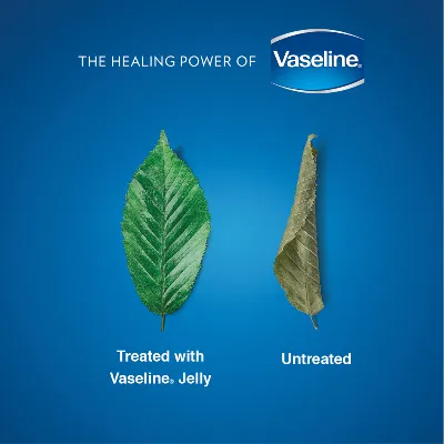 Vaseline Petroleum Jelly - Image 3