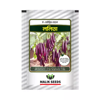 Malik Seeds Begun Beej (Lalita)